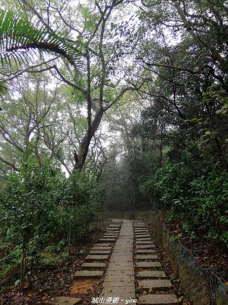 【新竹竹北】台灣百大必訪步道。 鳳崎落日登山步道