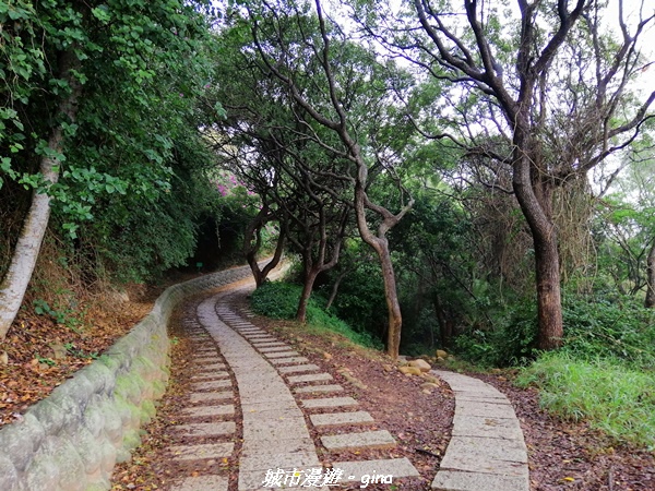 【新竹竹北】台灣百大必訪步道。 鳳崎落日登山步道