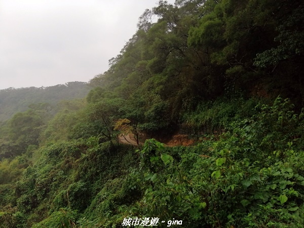 【新竹竹北】台灣百大必訪步道。 鳳崎落日登山步道