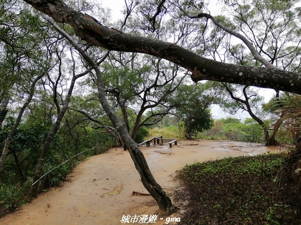 【新竹竹北】台灣百大必訪步道。 鳳崎落日登山步道