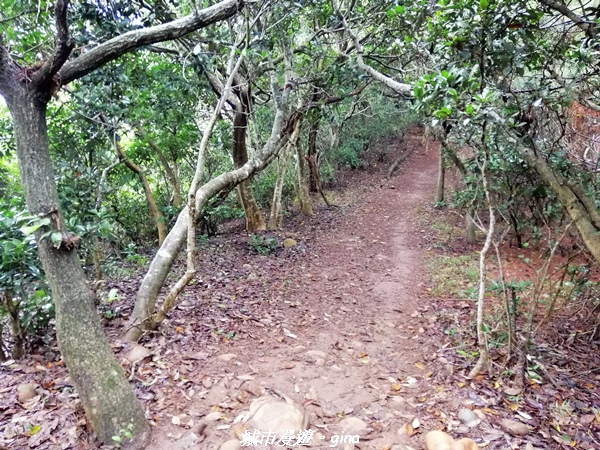 【新竹竹北】台灣百大必訪步道。 鳳崎落日登山步道