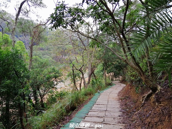 【新竹竹北】台灣百大必訪步道。 鳳崎落日登山步道