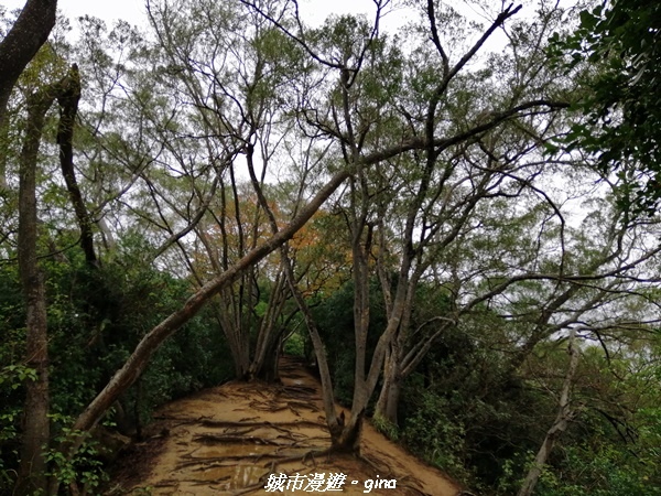 【新竹竹北】台灣百大必訪步道。 鳳崎落日登山步道