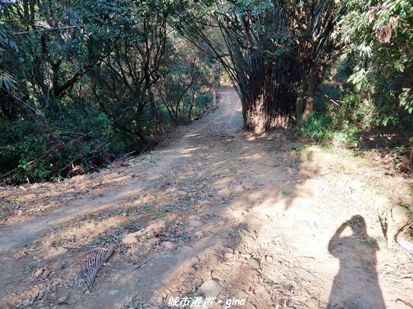 【台中后里】悠然雅靜。 毘盧禪寺步道