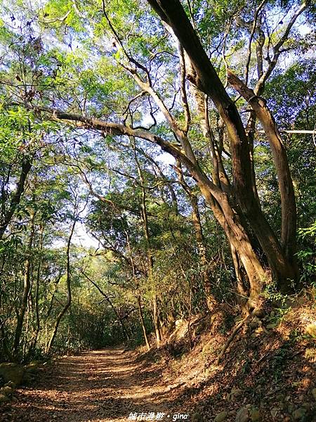 IMG_20210101_145104.jpg IMG_20210101_145104.jpg