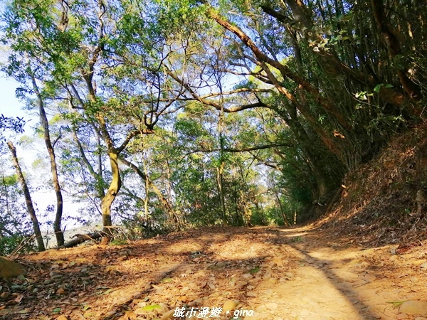 IMG_20210101_150020.jpg IMG_20210101_150020.jpg