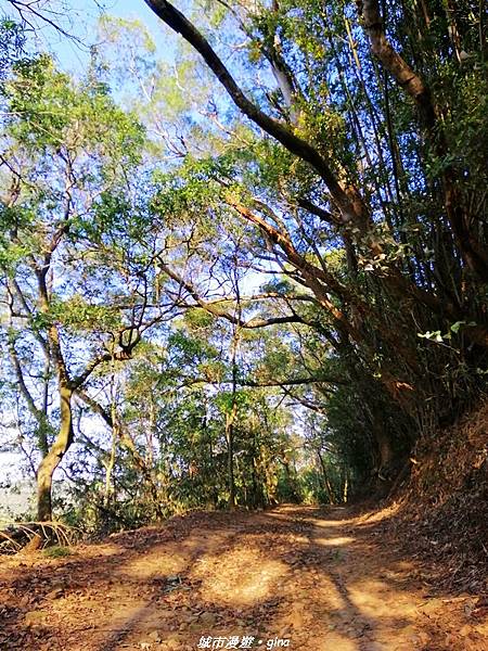 IMG_20210101_150013.jpg IMG_20210101_150013.jpg