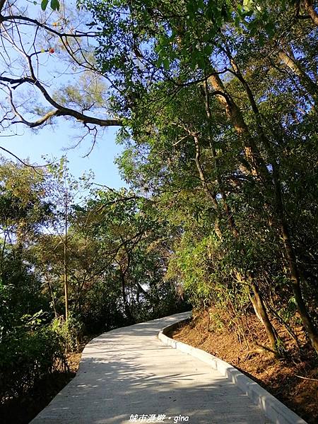 IMG_20210101_145410.jpg IMG_20210101_145410.jpg