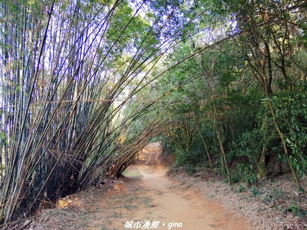 IMG_20210101_150439.jpg IMG_20210101_150439.jpg