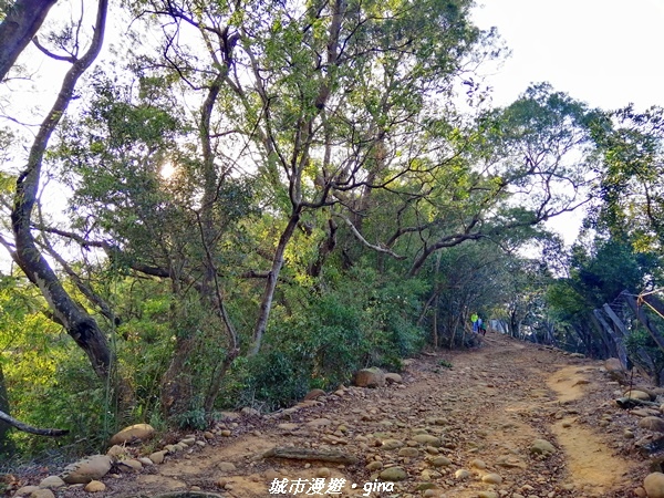 IMG_20210101_150847.jpg IMG_20210101_150847.jpg