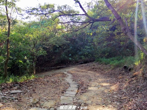 IMG_20210101_151104.jpg IMG_20210101_151104.jpg