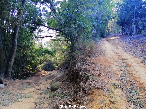 IMG_20210101_150956.jpg IMG_20210101_150956.jpg