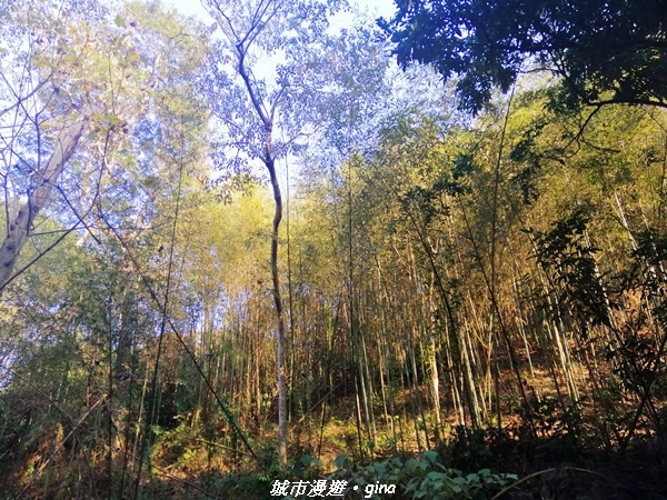 IMG_20210101_152219.jpg IMG_20210101_152219.jpg