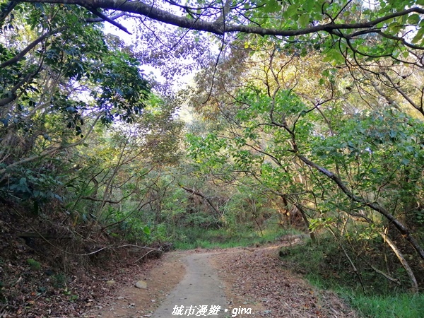 【台中后里】悠然雅靜。 毘盧禪寺步道