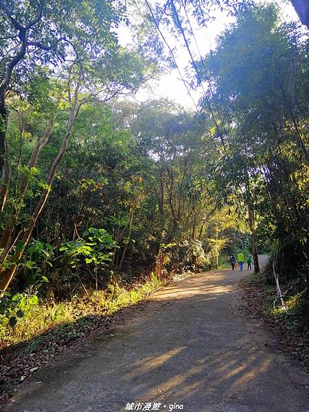 IMG_20210101_151919.jpg IMG_20210101_151919.jpg