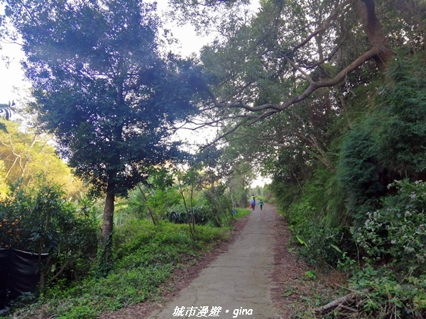 IMG_20210101_152733.jpg IMG_20210101_152733.jpg