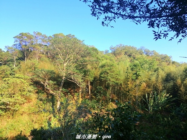 IMG_20210101_152849.jpg IMG_20210101_152849.jpg