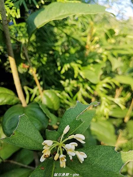 IMG_20210101_152924.jpg IMG_20210101_152924.jpg