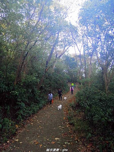 IMG_20210101_153318.jpg IMG_20210101_153318.jpg