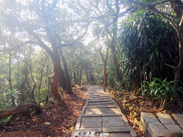 【台中后里】悠然雅靜。 毘盧禪寺步道