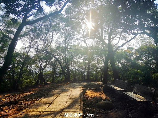 IMG_20210101_153648.jpg IMG_20210101_153648.jpg