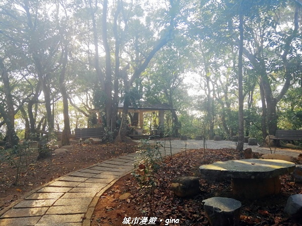 IMG_20210101_153614.jpg IMG_20210101_153614.jpg