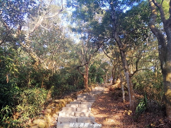 【台中后里】悠然雅靜。 毘盧禪寺步道