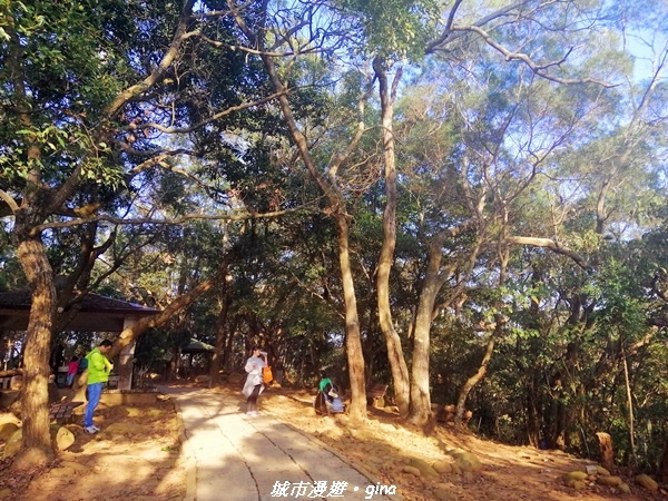 IMG_20210101_153725.jpg IMG_20210101_153725.jpg