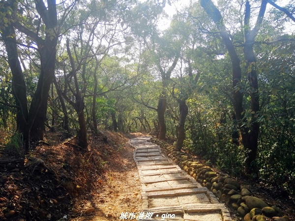 【台中后里】悠然雅靜。 毘盧禪寺步道