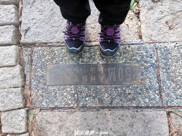 IMG_20210101_154028.jpg IMG_20210101_154028.jpg