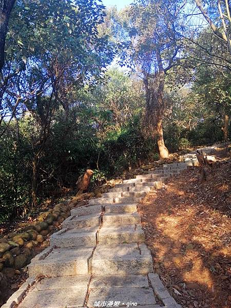 IMG_20210101_153947.jpg IMG_20210101_153947.jpg