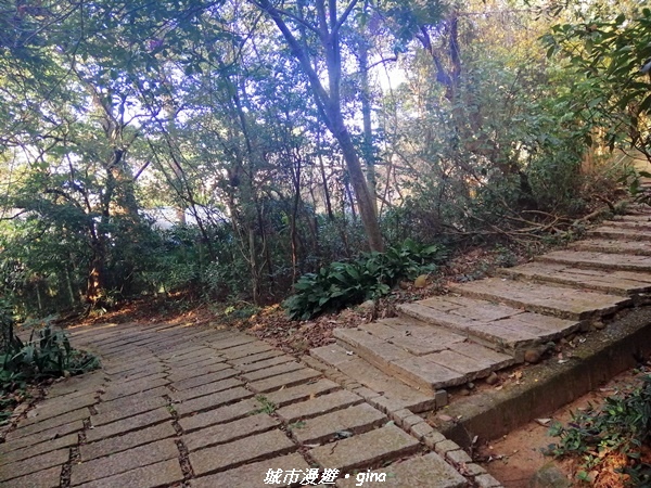 IMG_20210101_155626.jpg IMG_20210101_155626.jpg