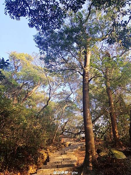 【台中后里】悠然雅靜。 毘盧禪寺步道