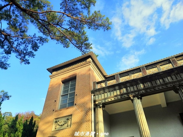 IMG_20210101_155909.jpg IMG_20210101_155909.jpg