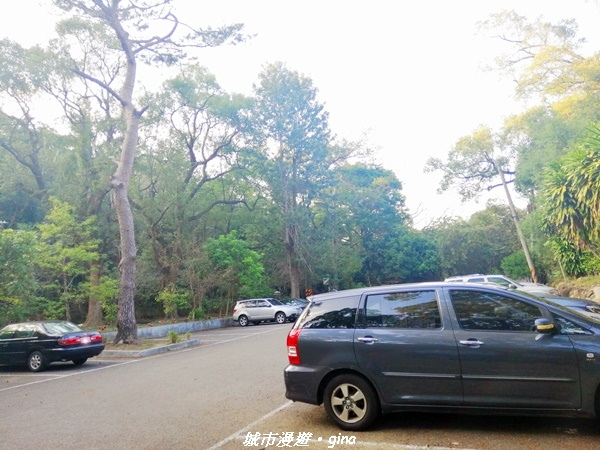 IMG_20210101_161017.jpg IMG_20210101_161017.jpg