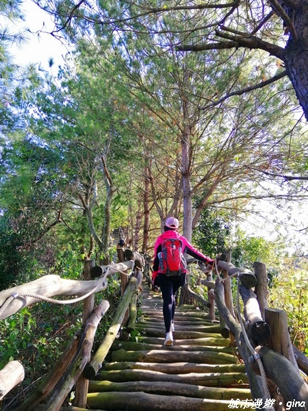 【台中北屯】圓枕木練腳力。 大坑三號步道