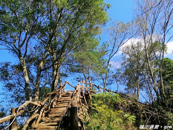 【台中北屯】圓枕木練腳力。 大坑三號步道