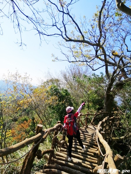 【台中北屯】圓枕木練腳力。 大坑三號步道