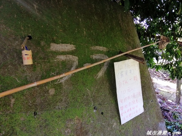 【台中北屯】圓枕木練腳力。 大坑三號步道