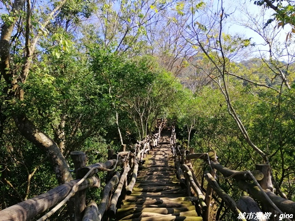 【台中北屯】圓枕木練腳力。 大坑三號步道