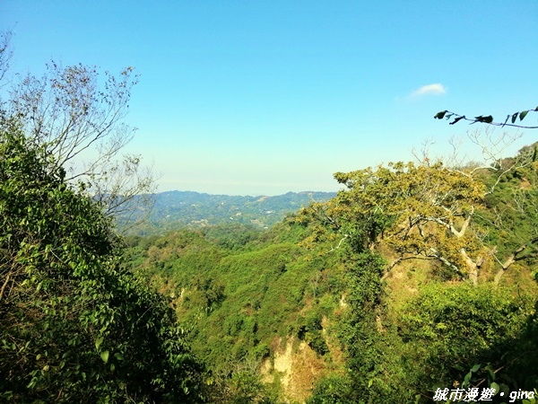 【台中北屯】圓枕木練腳力。 大坑三號步道