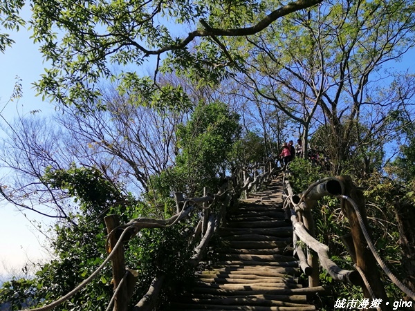 【台中北屯】圓枕木練腳力。 大坑三號步道