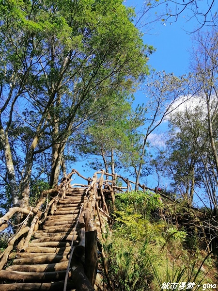 【台中北屯】圓枕木練腳力。 大坑三號步道