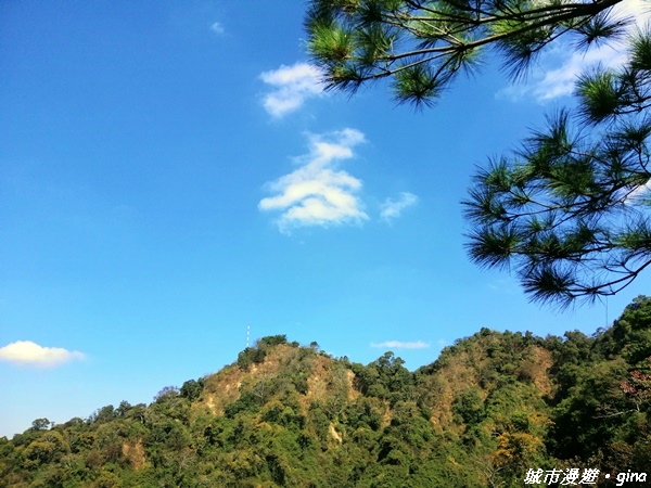 【台中北屯】圓枕木練腳力。 大坑三號步道