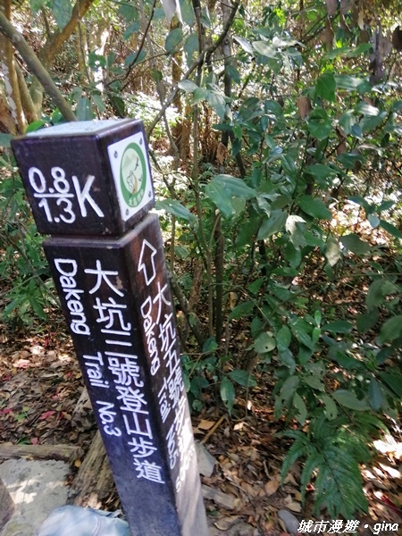 【台中北屯】圓枕木練腳力。 大坑三號步道