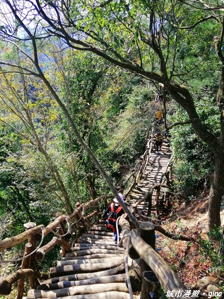 【台中北屯】圓枕木練腳力。 大坑三號步道