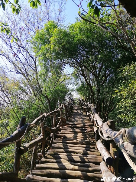 【台中北屯】圓枕木練腳力。 大坑三號步道