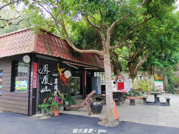 IMG_20210101_112656.jpg IMG_20210101_112656.jpg