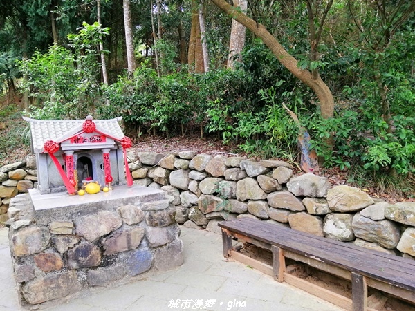 IMG_20210101_113141.jpg IMG_20210101_113141.jpg