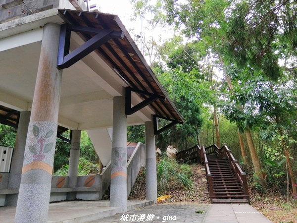 IMG_20210101_113244.jpg IMG_20210101_113244.jpg